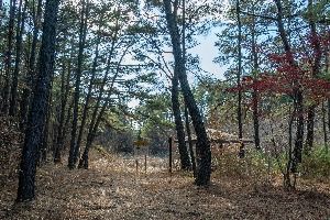 합천_내천못재 (6)