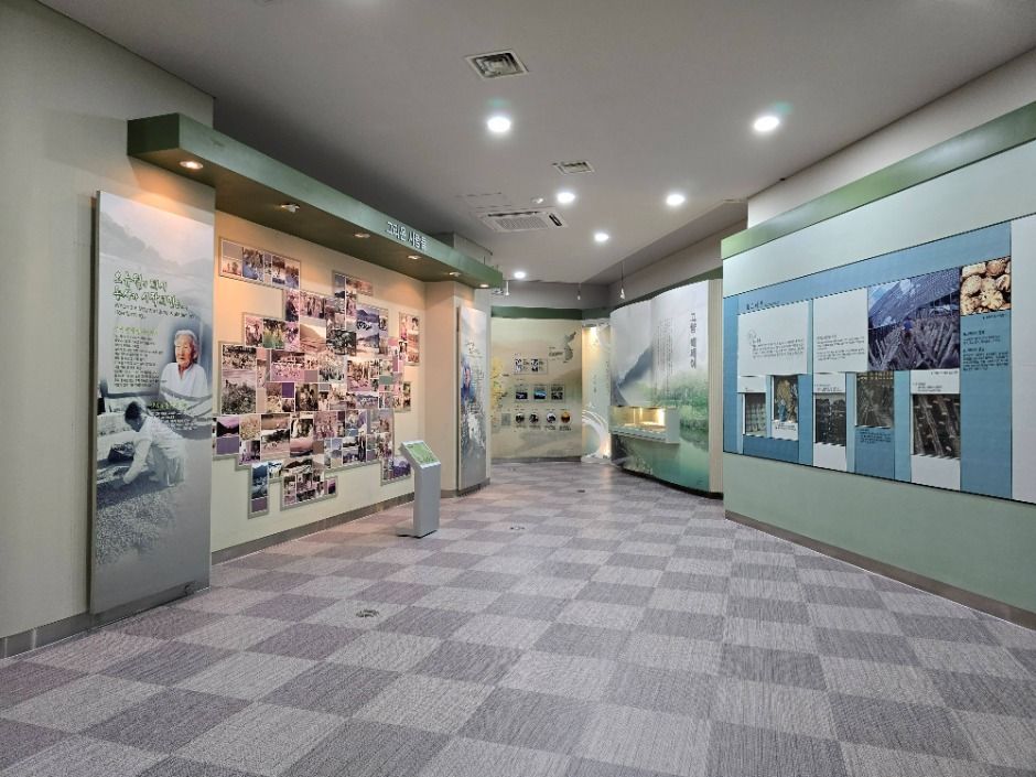 장흥_장흥다목적댐 물 문화관 (4)