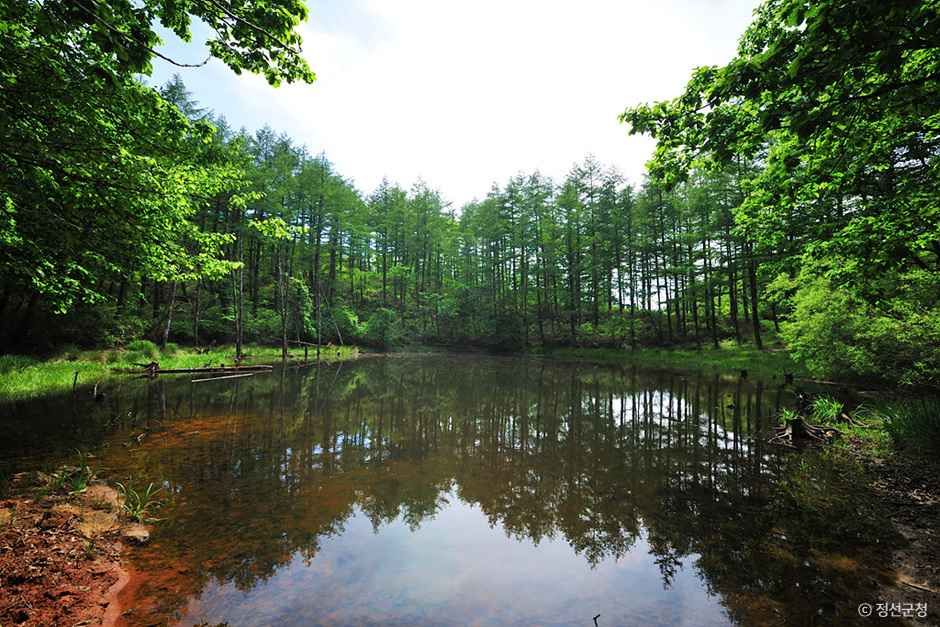 thumbnail-도롱이연못-2