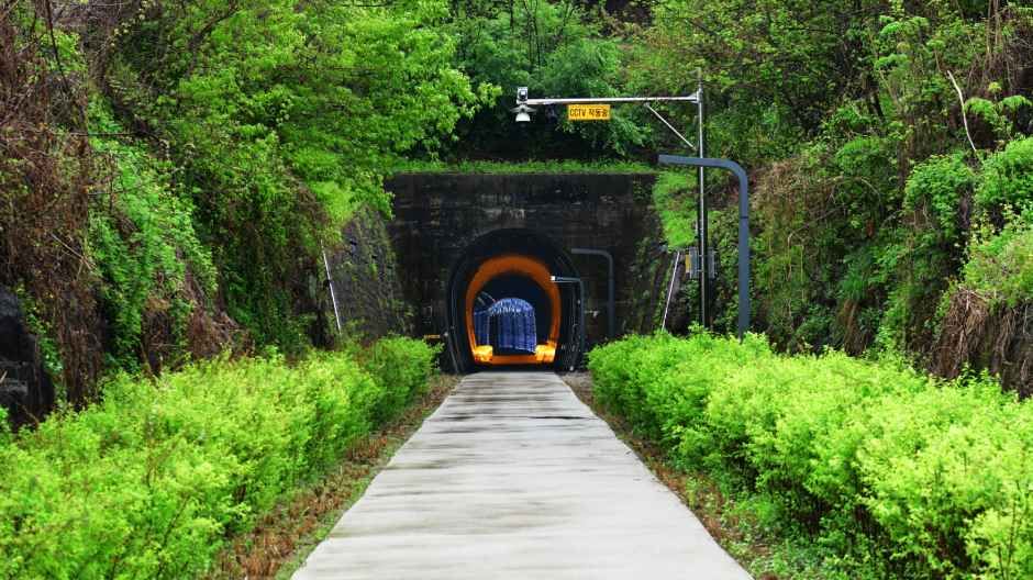 thumbnail-치악산 바람길숲-8