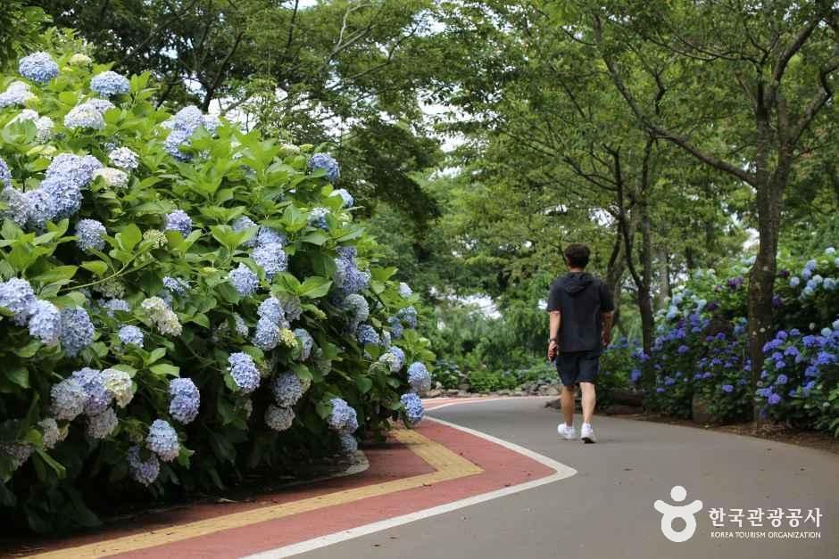 thumbnail-제주동화마을-17