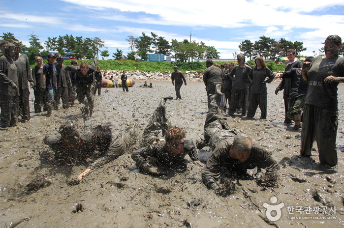 Boryeong Mud Festival (보령머드축제)