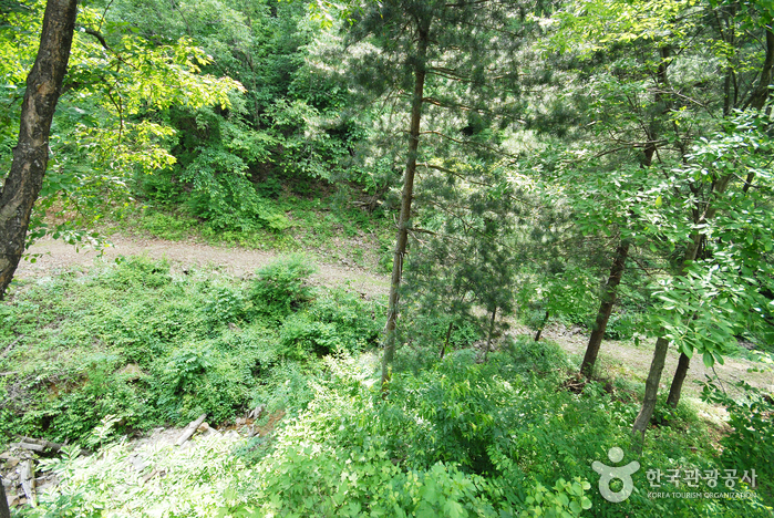 Cheongpyeong Recreational Forest (청평자연휴양림)