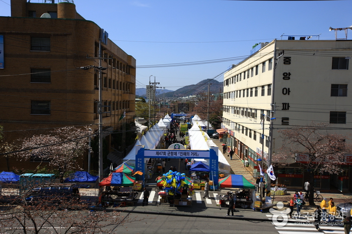 Jinhae Gunhangje Festival (진해군항제)