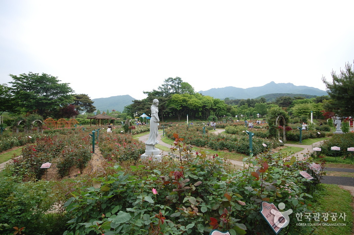 Seoul Grand Park (서울대공원-서울동물원)