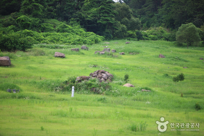 Gochang Dolmen Site [UNESCO World Heritage] (고창 고인돌군 [유네스코 세계문화유산])