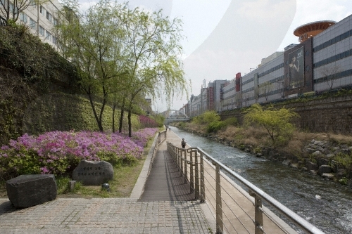 청계천 사진8