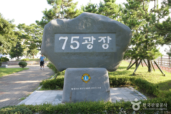 75广场75광장