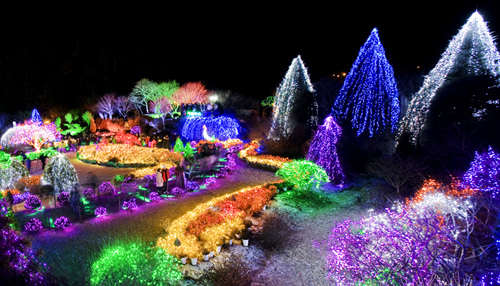 The Garden of Morning Calm (아침고요수목원)