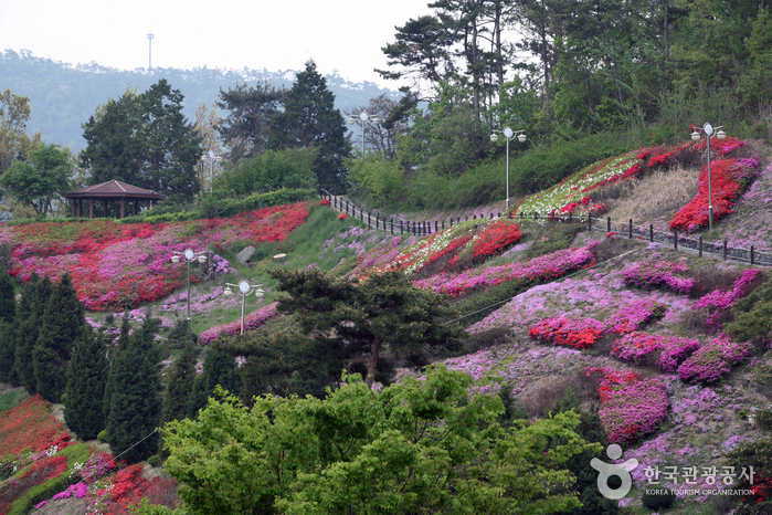 숲쟁이꽃동산 전경