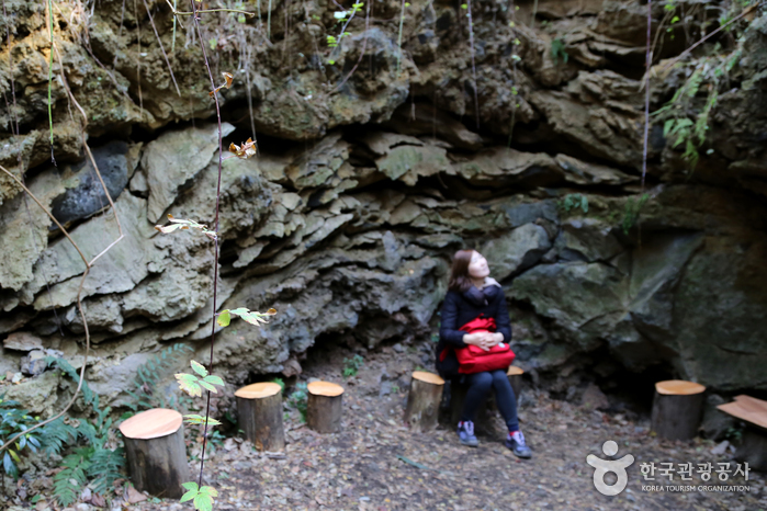 선흘곶자왈 (제주도 국가지질공원)6