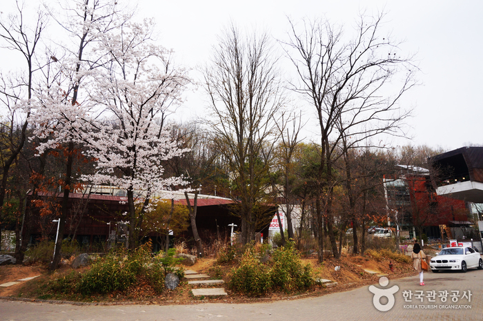 헤이리 예술마을 사진8
