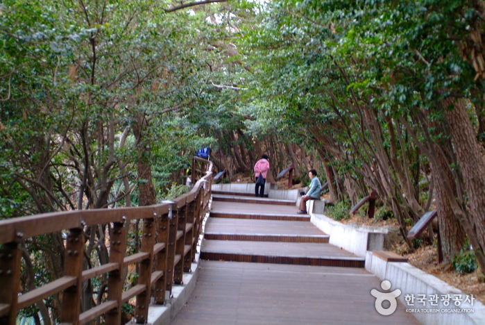 Yeongdo Bridge