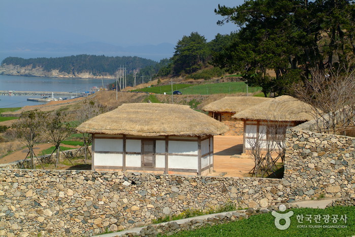 ��ȭ ���������� �Կ���