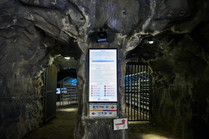 Gossigul Cave [National Geopark] (고씨굴-강원고생대 국가지질공원)