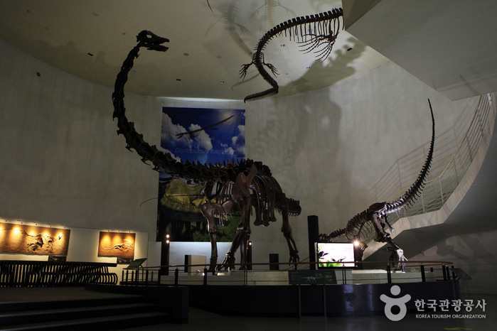 목포자연사박물관 중앙홀 공룡 골격 전시