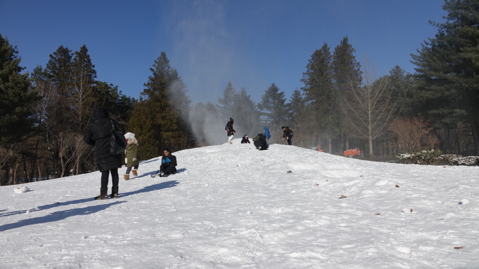남이섬 겨울축제 'Winter Wonder, Nami Island' 20194