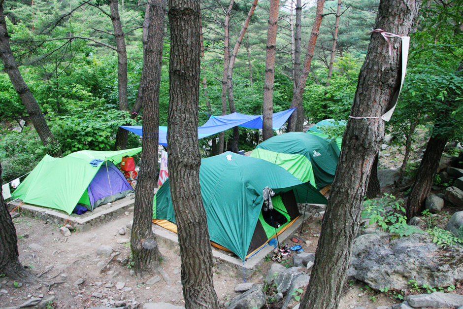 국립청태산자연휴양림 캠핑장1