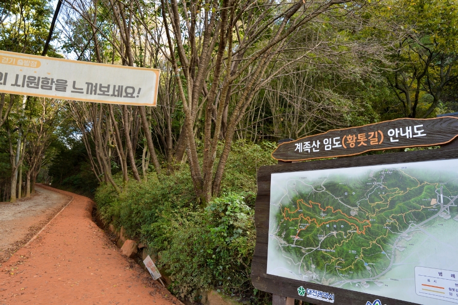 壯洞森林浴場(장동산림욕장)