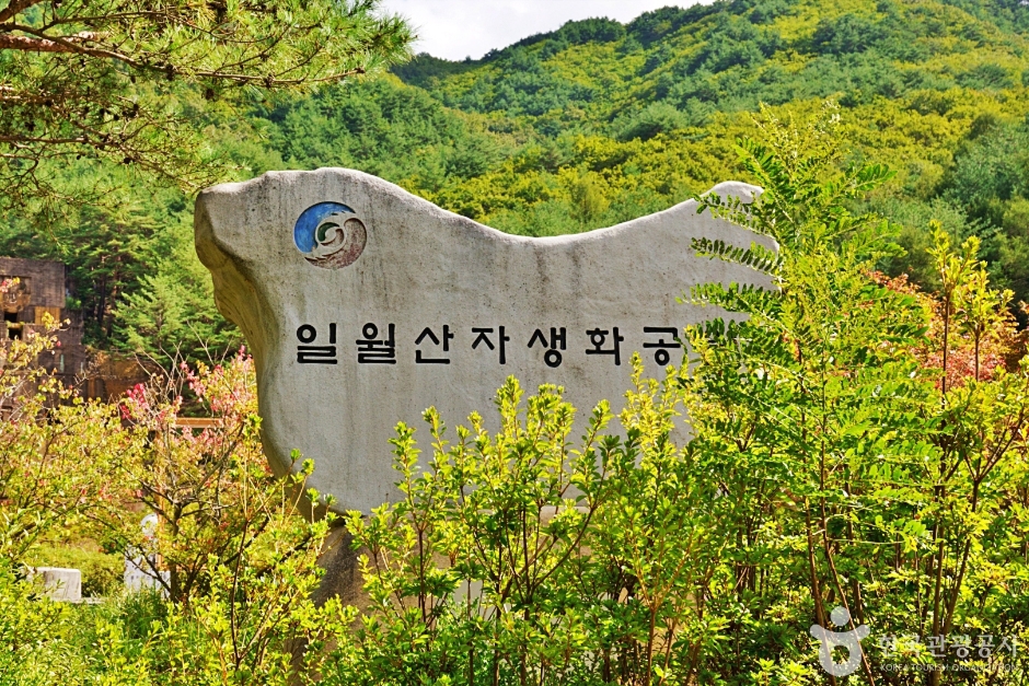 일월산 자생화공원