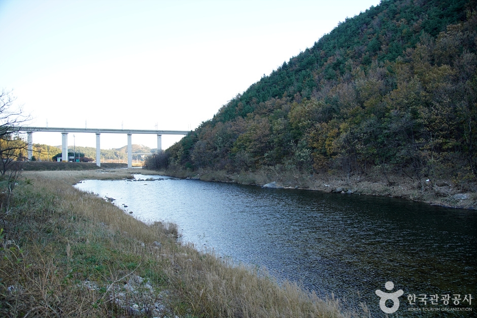 남대천(강릉)