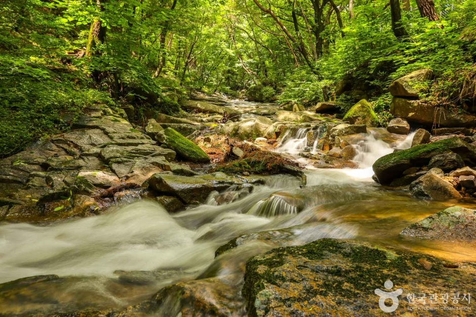 팔공산자연공원(파계사지구) (7)