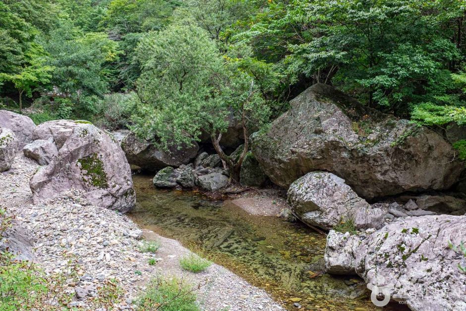 절골협곡 (청송 국가지질공원)