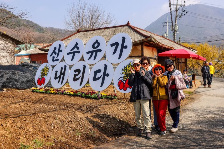 양평산수유한우축제