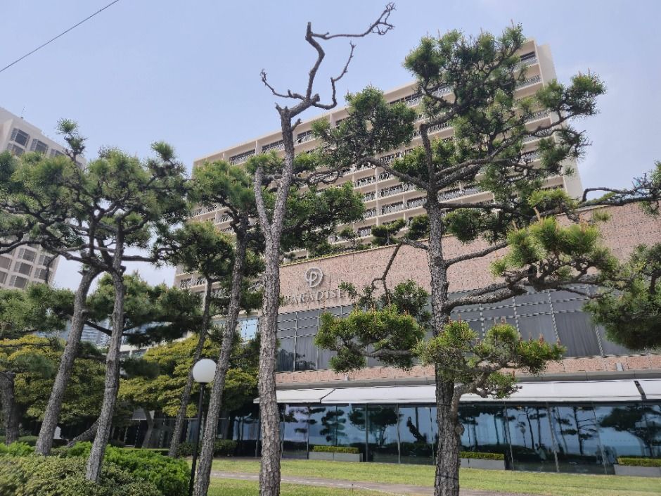 Casino Paradise de Busan (파라다이스 카지노 부산)