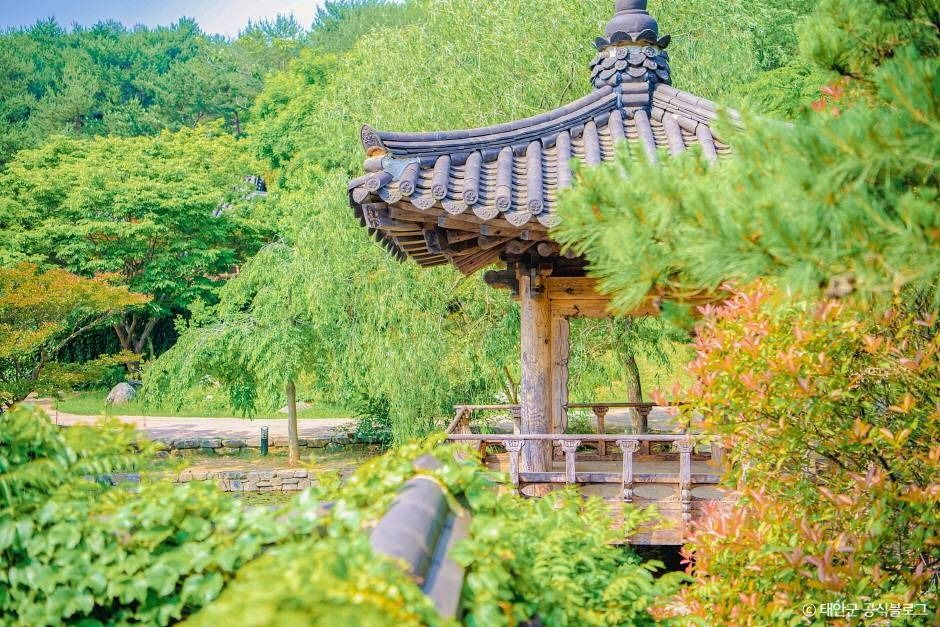 안면도수목원