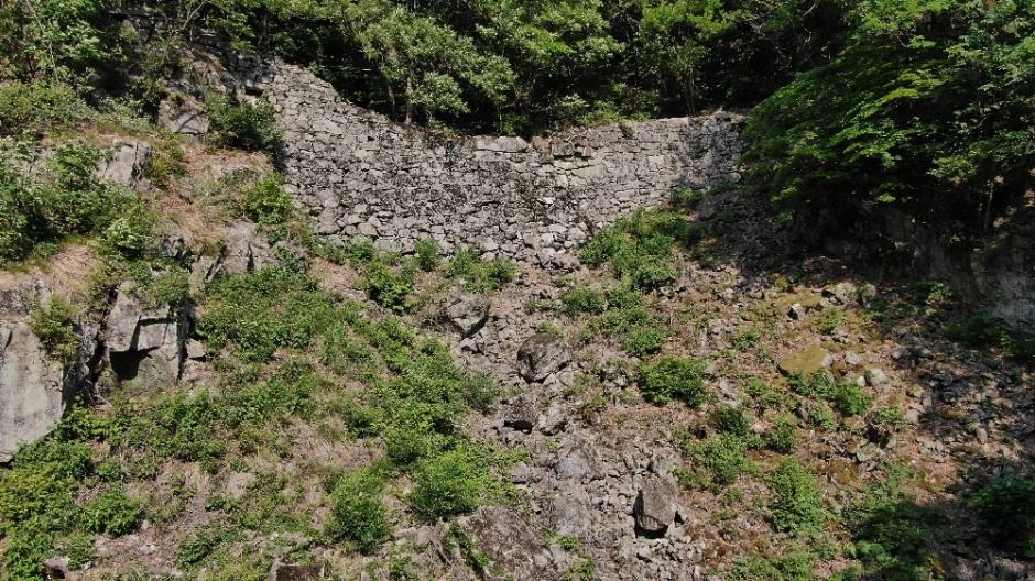 보가산성지(지장산)