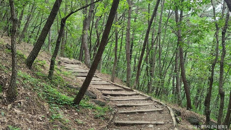 와룡산(대구)