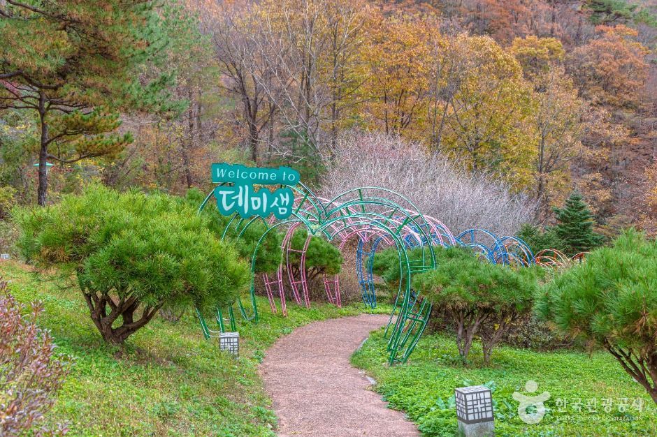 데미샘자연휴양림