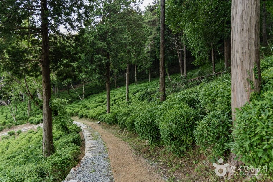 다솔사(경남)