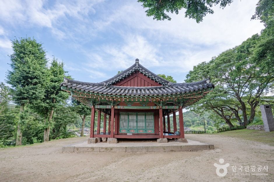 침괘정