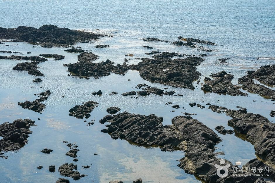 포항_구룡포 주상절리 (5)