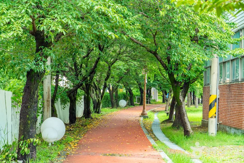 서시천체육공원