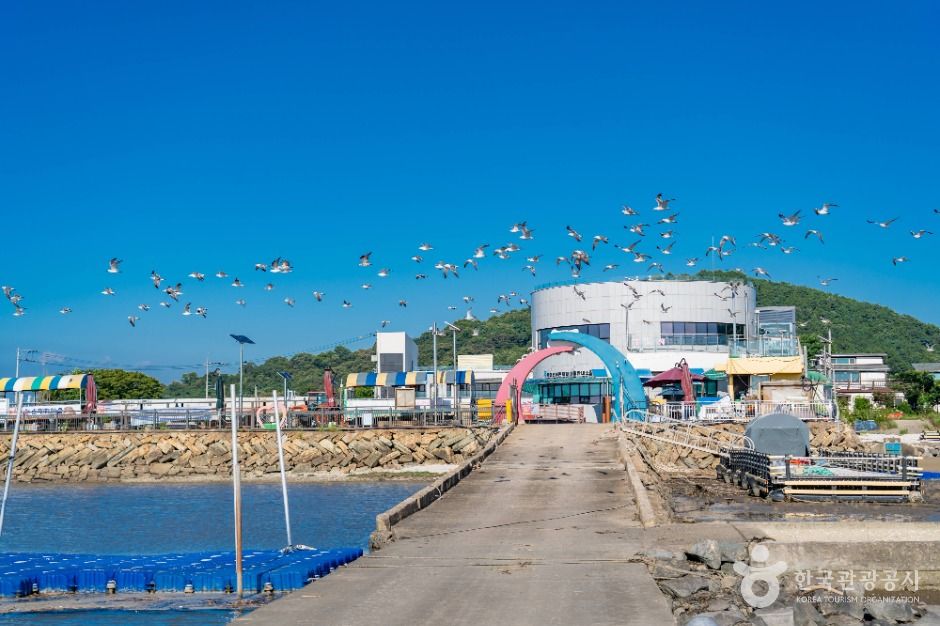 백미리갯벌체험장