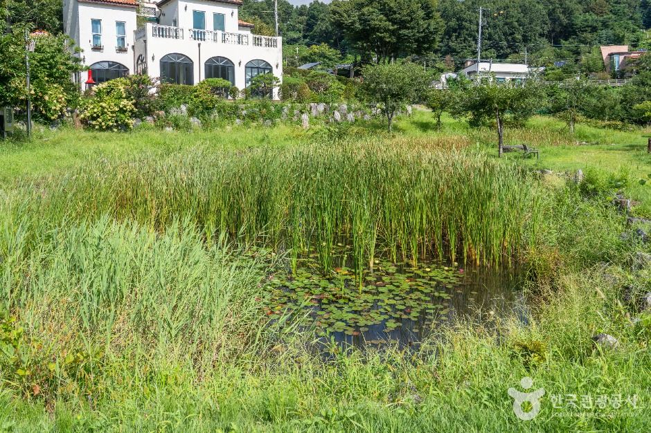 thumbnail-삼정생태공원-4