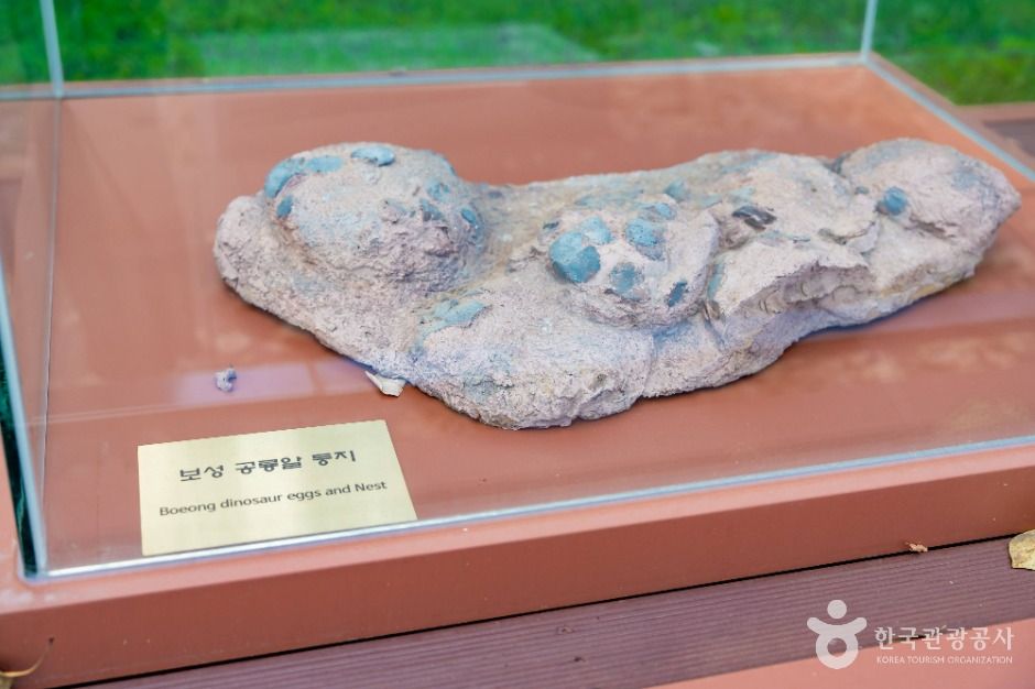 보성 비봉리 공룡알 화석산지