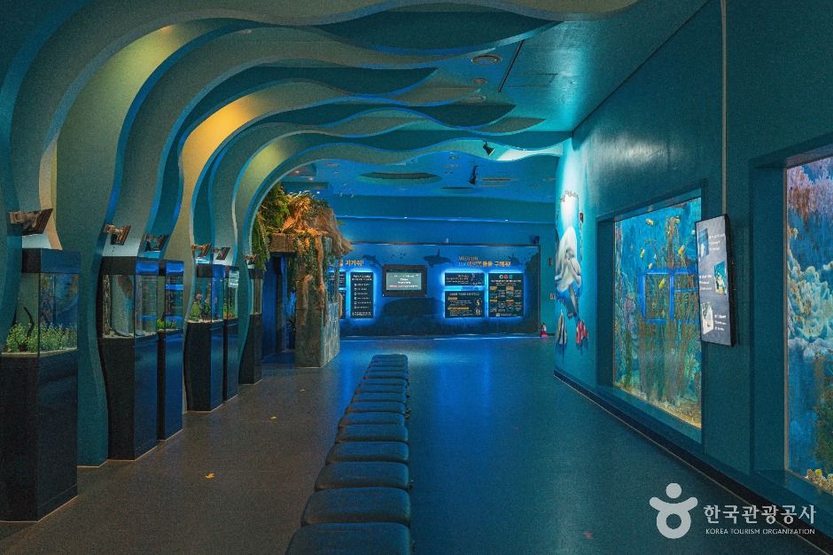 장생포 고래생태체험관