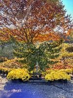 피나클랜드수목원1