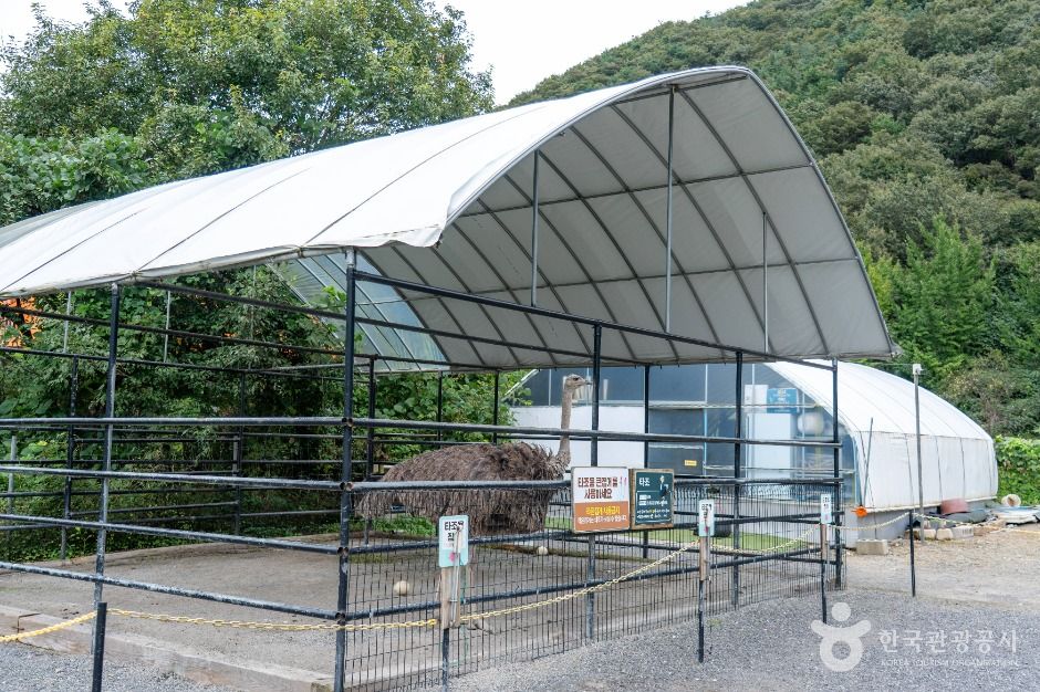 보령_바둑이네동물원 (6)