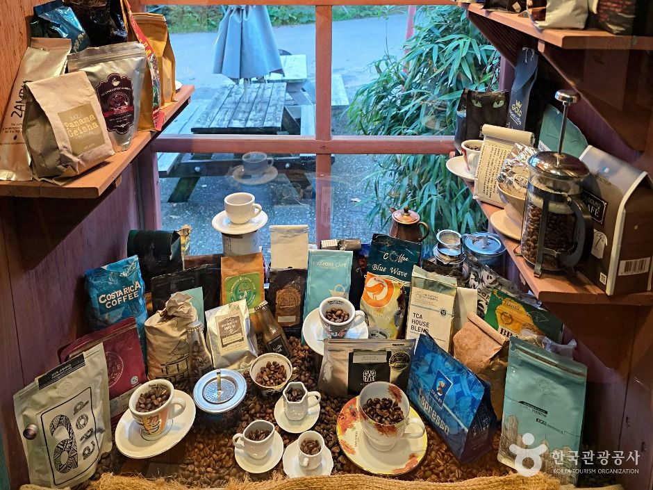 보헤미안 박이추커피