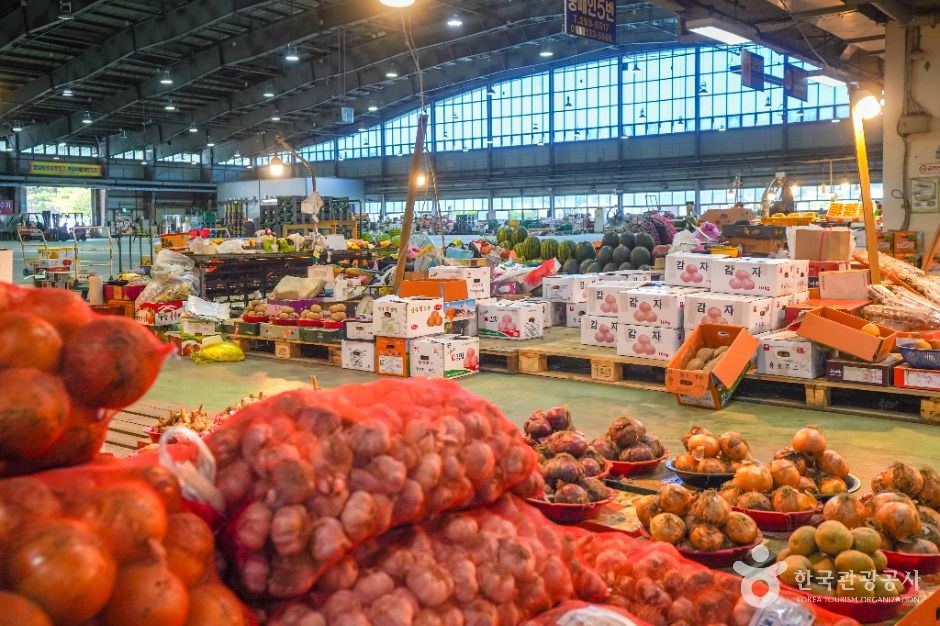 창원_창원시내서농산물도매시장 (4)