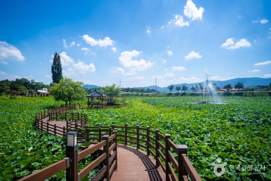 뒷미지수변공원