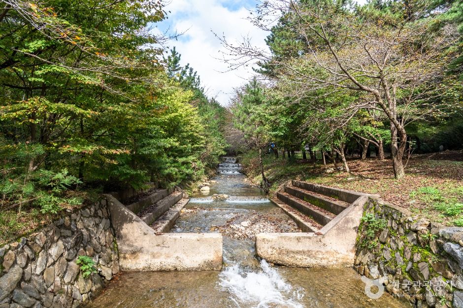 국립 희리산해송자연휴양림