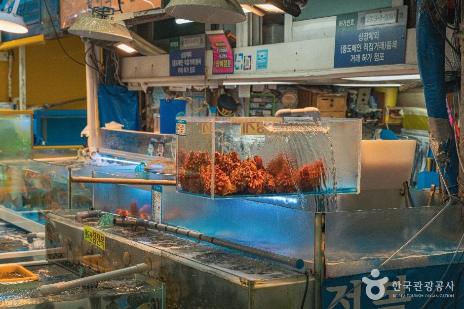 서울_가락수산시장 (4)