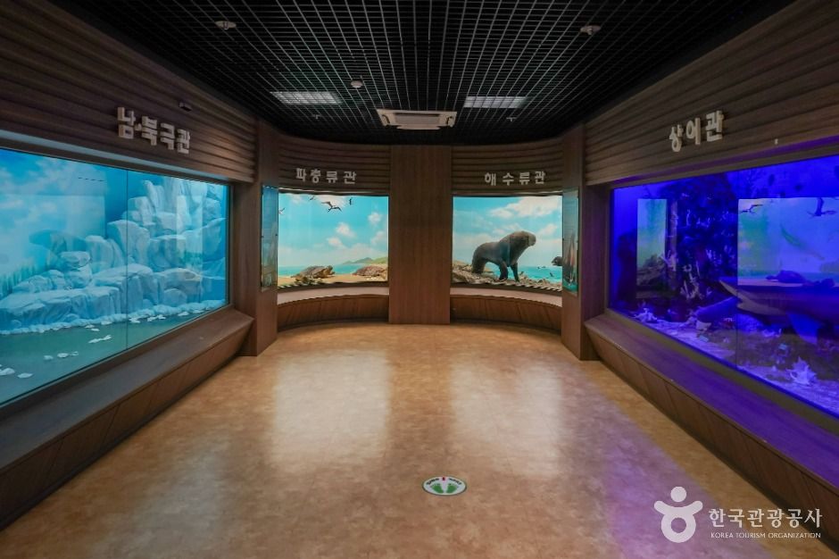 thumbnail-해양생물테마파크-4