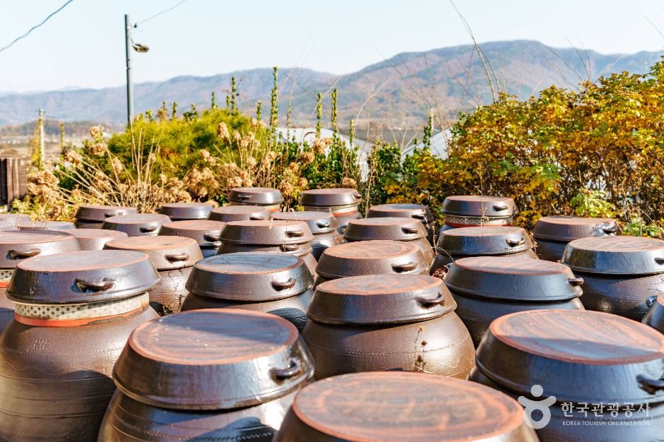 초정솔밭보리밥집카페